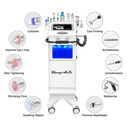 10 In 1 Vertical Hydro Beauty Facial Cleaning Water Oxygen Beauty Machine EMS RF Vacuum Acne Treatment Skin Lifting Spa Facial Machine