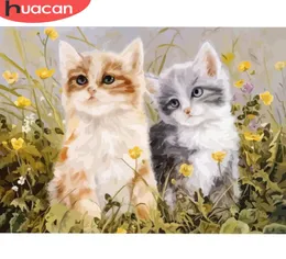 Huacan malarstwo według liczby Animal Rysowanie na płótnie kolorowanki DIY według liczb Zestawy kotów Ręcznie malowane obrazy