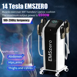 معدات RF DLS-EMSLIM NEO RF Machine 14 Tesla HI-EMT Machine Emszero 6500W مع 4 مقابض RF وخيارات تحفيز الحوض