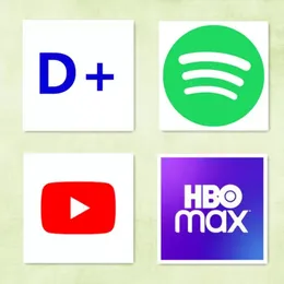 YouTube NetFilx Spotify HBO Max DlSney Plus Works on Home Theatre Android iOS PC Set Top Box Premium Other Electronics