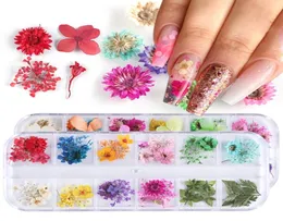 Микс сушеные цветы натуральные цветочные листья наклейки для ногтей 3D наклейки польский маникюр аксессуары1047670