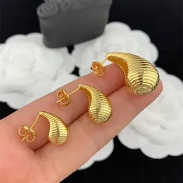 2023SS French Autumn Comma Earrings Women's French Fashion 925 Silver Needle Embossed Texture Ox Horn Thread Jewelry Accessories
