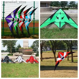 Kite Accessories Free Shipping dual line stunt kites flying power kites factory beach kites for adults kites winds storm kite professional kite Q231104