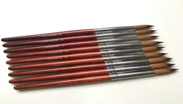 Nail Art Kits 1pcs 10121416182022 Round Sharp 100 Kolinsky Sable Drawing Painting Brush Red Wooden Gel Acrylic Salon Tools8803139