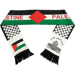 Шарфы, женский шарф с флагом Палестины, двухсторонний, мягкий, приятный для кожи, удобный, 2023, зимний теплый Bufanda