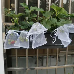 Trädgård levererar 100 st/set jordgubbe druvor frukt växer väskor netting mesh grönsak växt skyddspåsar för skadedjursbekämpning anti-fågel. Observera färgen