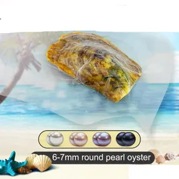 Perle Meerwasser Natürliche Akoya Runde Perlen Lose Perlen Perle Versorgung Drop Großhandel 6-7mm Mticolor Drop Lieferung Schmuck lose Perlen Dhvcu