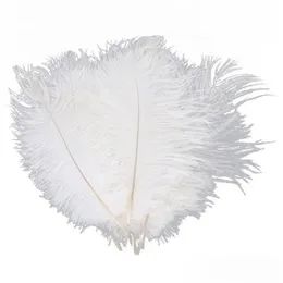 パーティーデコレーション10pcsホワイトダチョウの羽毛プルーム20-25cm