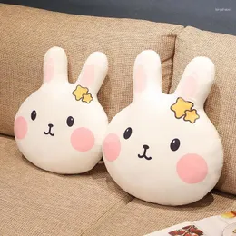 Cuscino super carino piccolo bianco rete rossa INS ragazza cuore cartone animato anime studente pranzo peluche staccabile