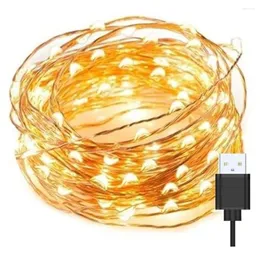 ストリング10m 100 LED STARRY STRING FAIRY LIGHT USB LIGHTSパーティークリスマスウェディング6色のマイクロ透明ワイヤー