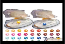 Pedras soltas entrega de jóias 2021 Whole Akoya 67mm redonda 25 cores de água doce Cultura em cultura em oyster pérola Mus7178141