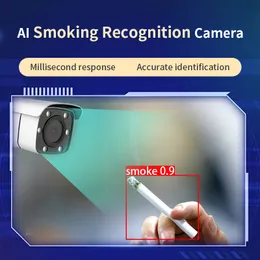 Servizio unico di monitoraggio e telecamera di allarme rapido dell'algoritmo di identificazione del fumo con tecnologia Bowa