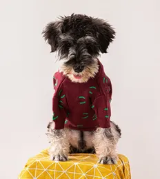 Nuovo maglione per cani marchio di moda Jarre Aero Pomeranian Schnauzer Pet Clothes Cappotto per cani moda autunno inverno