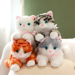 Call it a simulation cat doll, a cute little kitten, a plush toy to accompany a sleeping doll, a birthday gift for a girl