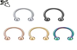 Nose Ring stud Piercing Jewelry body arts fake septum rings nosecuffs Titanium Daith Earrings pin Hoop CZ Hinged Segment Clicker N9714644