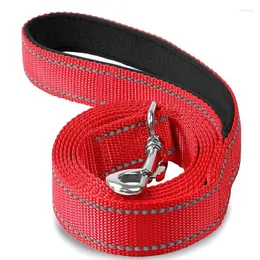 Hundehalsbänder Schwarz Rot Reflektierend Gepolstertes Nylon Bunte Leine Zwei Griff Langlebig Haustierbedarf Correa Perro Accesorios Para Perros Mascota