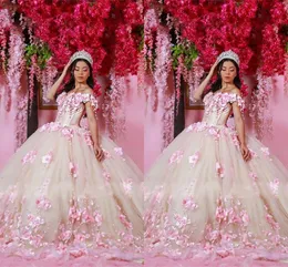 Blush Pink Pearls Floral 3d Flowers Quinceanera Dresses Long Train Off the Shoulder Naakt Lining Prom Ball Jurk Sweet 16 Jurk 15 Girls