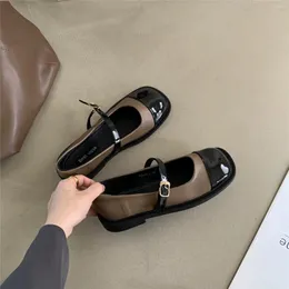 Dress Shoes Multicolor Mary Jane Women's 2023 Spring French Shallow Mouth Soft Flat Single British Style Small Leather Lady