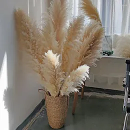 Flores decorativas 120cm grama de pampas grande alto xxl fofo seco boho decoração planta para vaso casa arranjo de flores de casamento