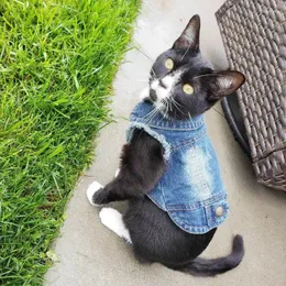 Kattdräkter denimkläder för katter Fashion Coat Jacket Warm Outfits Lovely Pet Clothing Casual Jeans Dogs Costume