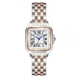 Zegarki damskie luksusowe kobiety oglądają stal nierdzewną kwarcowe zegarki damskie damowe dan panie kwarcowy zegar na rękę 231107