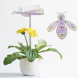 Grow Lights LED Angel Ring String Indoor 100 Ft Star per camera da letto per bambini con timer dimmer plug-in