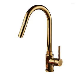 Kitchen Faucets Gold Pull Faucet Rotating Sink Vegetable Basin Cold And Accessories Mixer