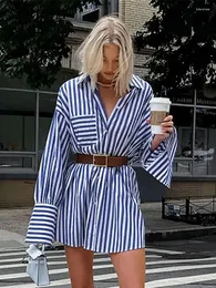 Kvinnor BLOUSES Kvinnor 2023 Spring Summer Striped Shirt Dress Fashion Loose Long Sleeve Female Office Elegant Commute Tops