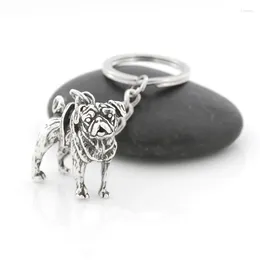 سلاسل المفاتيح خمر مطلي بالفضة لطيف PUG KEYCRYCHAIN ​​DOG Animal Key Chain Bag Bag Charm Women Man Child Pet Jewellery Ringaler