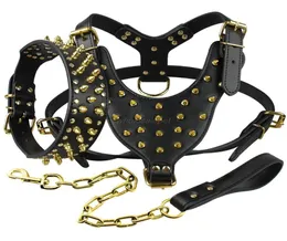 Läderhund Harness Spiked Studded Dog Pet Collar Harness and Chain Leash Set för medelstora stora Xlarge Raser Pitbull Mastiff Y20059985562