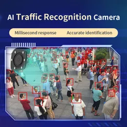 The intelligent monitoring system of Bowa Technology pedestrian density identification and early warning scenic spot can be customized