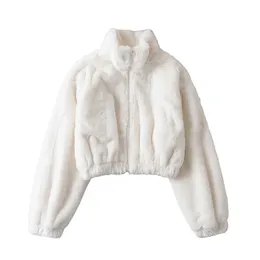 Giacca corta da donna Cappotti con cerniera allentati da donna Cappotto spesso da donna Giacca a vento in peluche Giacche a maniche lunghe Cardigan femminile 2023 Inverno Nuovo