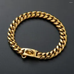 Hundehalsbänder Goldkettenhalsband 15 mm Edelstahl Cuban Link Starke, robuste, kausichere Halskette mit Schnalle für Hunde