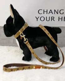 Качественная ручная веревка для пресбиопии, разноцветный кожаный ошейник для домашних животных, тяговая веревка, тянущая веревка, костюм, товары для собак9157540