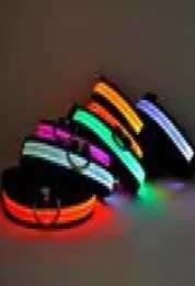 Collare per cani da compagnia in nylon LED Cani Collari fluorescenti luminosi Sicurezza notturna Lampeggiante Bagliore nel buio Guinzaglio per cani Forniture per animali domestici LXL83213860685