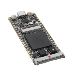 Zintegrowane obwody 64MBIT SDram Onboard FPGA Downloader Dual Flash RISC-De Development Board Moduł Geuvk