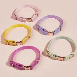 Dog Collars Leather Collar Candy Frosted Waterproof Pet For Small Medium Fashion Soft Puppy Kitten Chihuahua