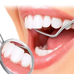 200 세트 금속 스테인리스 스틸 치실 치실 구강 청소 치아 보관 튜브 림피자 림피 델 힐로 치과 치과