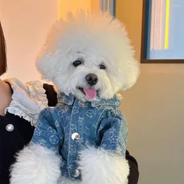 Hundkläder katt denim jacka mode blå kappa väst för husdjur valp taddy schnauzer vår/höstkläder