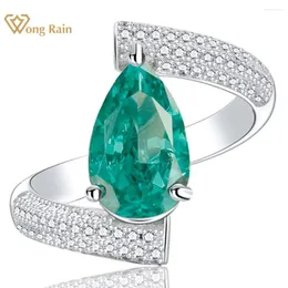 Cluster Rings Wong Rain 925 Sterling Silver Pear Paraiba Tourmaline High Carbon Diamond Gemstone Cocktail Women Ring Anniversary Gifts