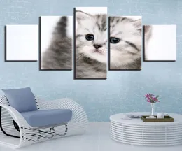 フレームワーク装飾リビングルームウォールアート5ピース印刷非常に素敵な猫動物絵画ポスターモジュラーキャンバス写真アートワーク3197307