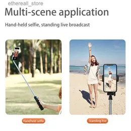 Selfie Monopods KLW A31 Live Broadcast Anchor Uzupełniający lekki wspornik Beauty Desktop Integrate Selfie Stick Q231110