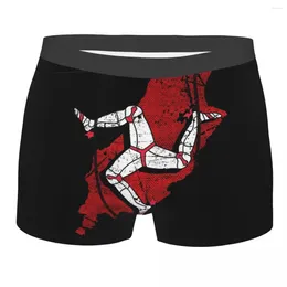 Underpants Isle Of Man Races National Flag Cotton Panties Underwear Ventilate Shorts Boxer Briefs