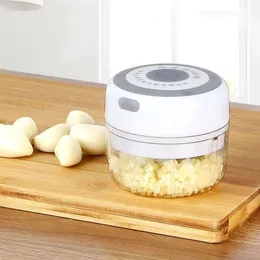 Cozinha elétrica pequenos aparelhos liquidificador chopper alho masher moedor de carne mini alho vegetal triturador recarregável alimentos bakjt