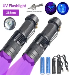 Mini Ultra Violet Zoomable 395365nm UV LED Lanterna di ispezione a luce nera Rilevatore di urina per animali domestici Gemstone14500Torce caricabatteria T 1498215