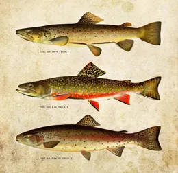 classic Vintage Trout Fly Fishing picture Paintings Art Film Print Silk Poster Home Wall Decor 60x90cm4337495