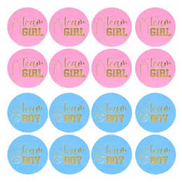 장식 스티커 팀 소년 팀 소녀 스티커 성별 공개 파티 소년 여자 아기 아기 아기 스티커 무료 배송