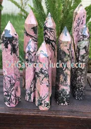 5st Rare Black Pink Natural Rhodonite Single avslutad punkt Rock Gemstone Tower Generator 6 Sidavand Obelisk Crystal Reiki Cha7563954