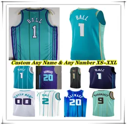 Hot Printed Terry Rozier LaMelo Ball Basketball Jersey Gordon Hayward P.J. Washington Mark Williams Brandon Miller Nick Richards Theo Maledon HORNET Larry Johnson