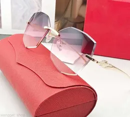 Pink Designer Sunglasses for Women Oversized Hexagon Classic Retro Sunglasses Mens Fashion Eyewear Panther Leopard Head Frameless Polarized glass